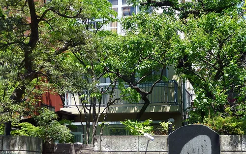 Yayoi Museum,Takeshisa Yumeji Museum