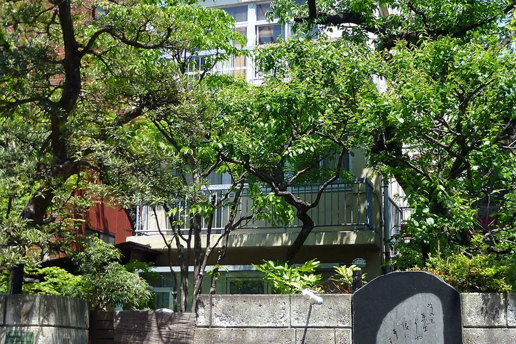 Yayoi Museum,Takeshisa Yumeji Museum