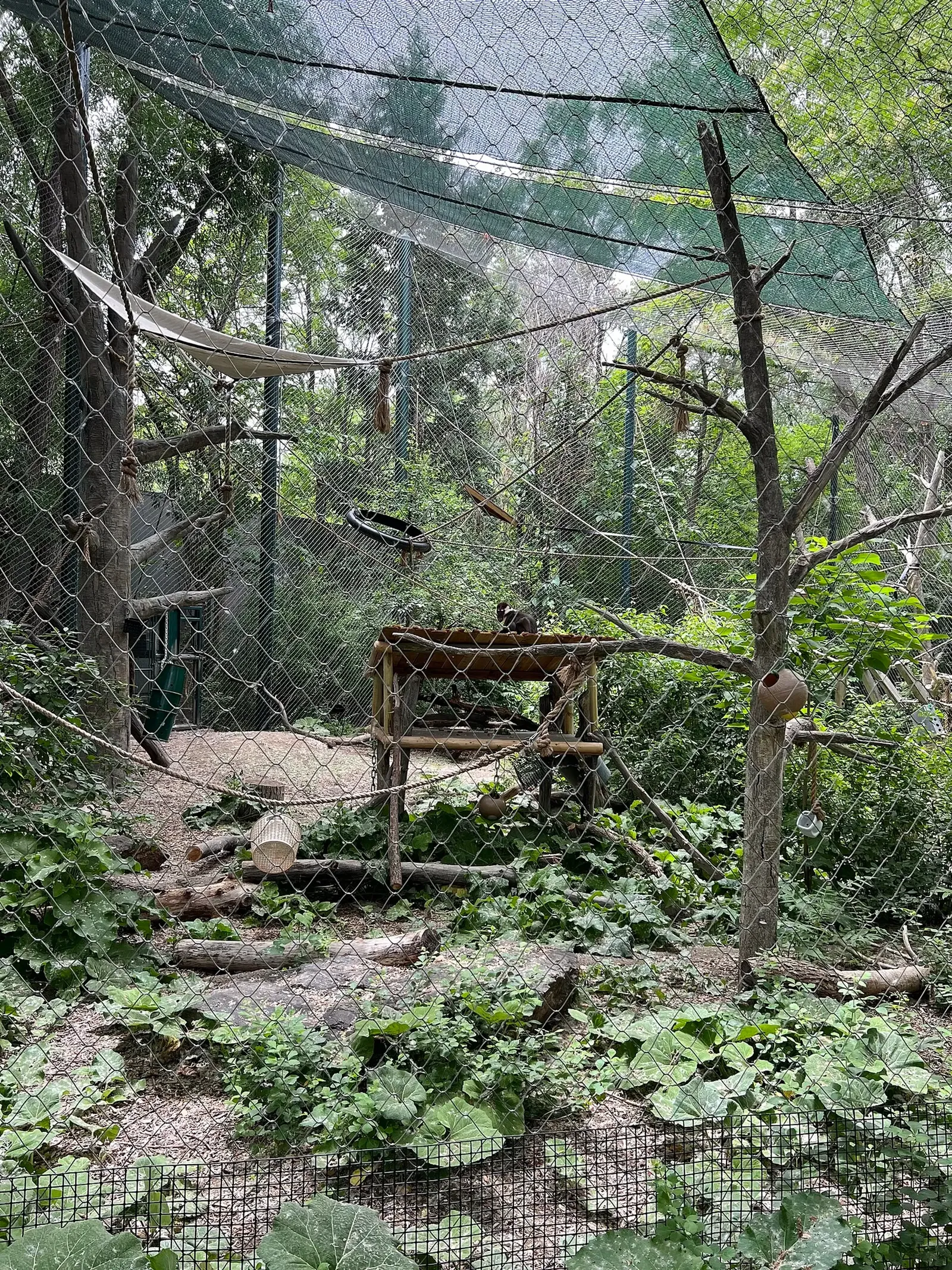 Zoológico de Denver