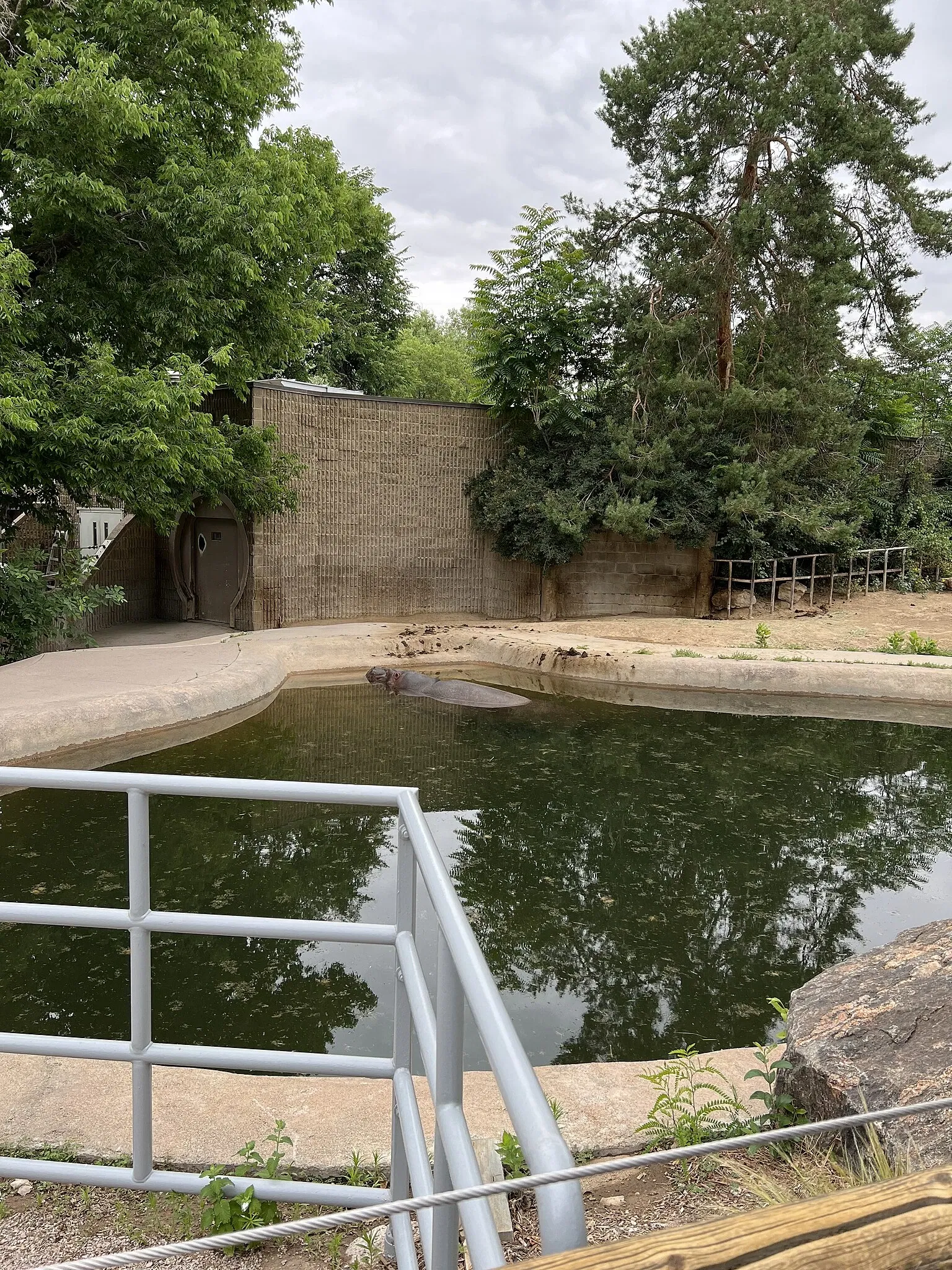 Zoológico de Denver