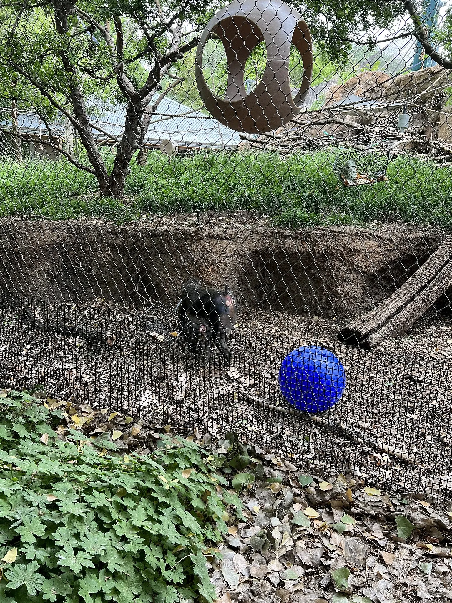 Zoológico de Denver