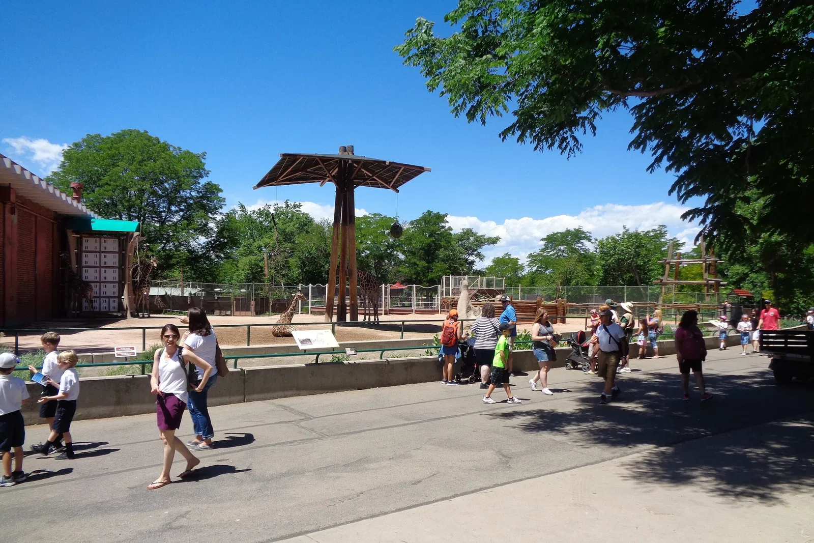 Zoológico de Denver