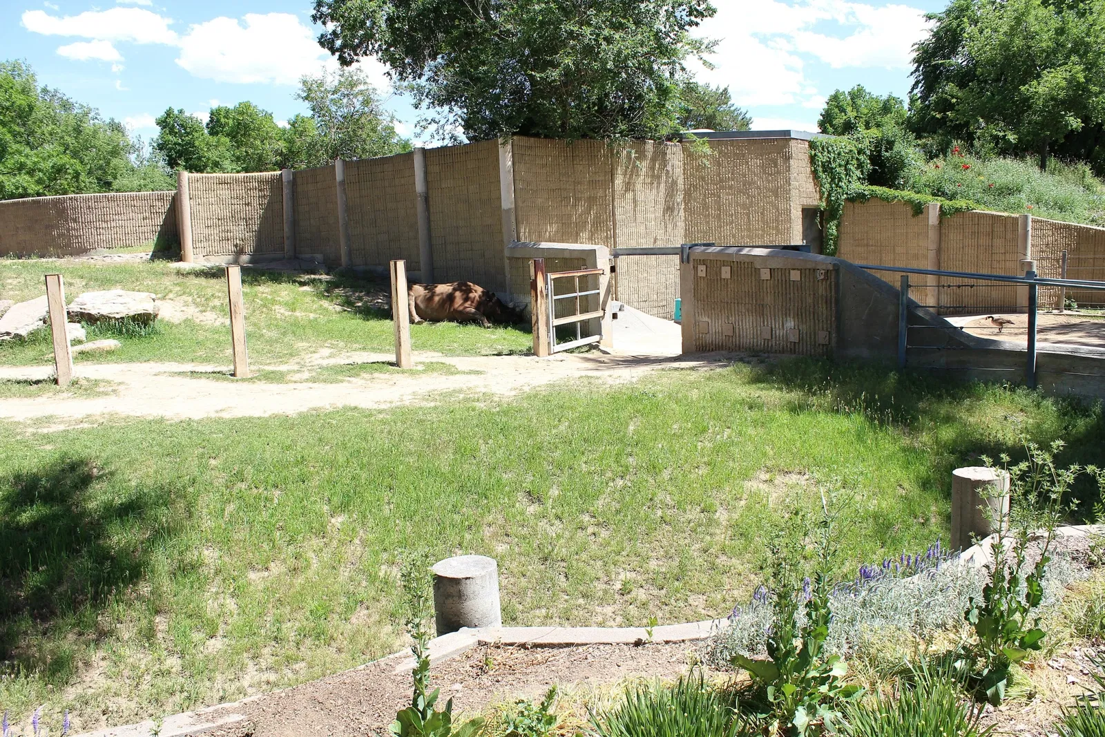 Denver Zoo
