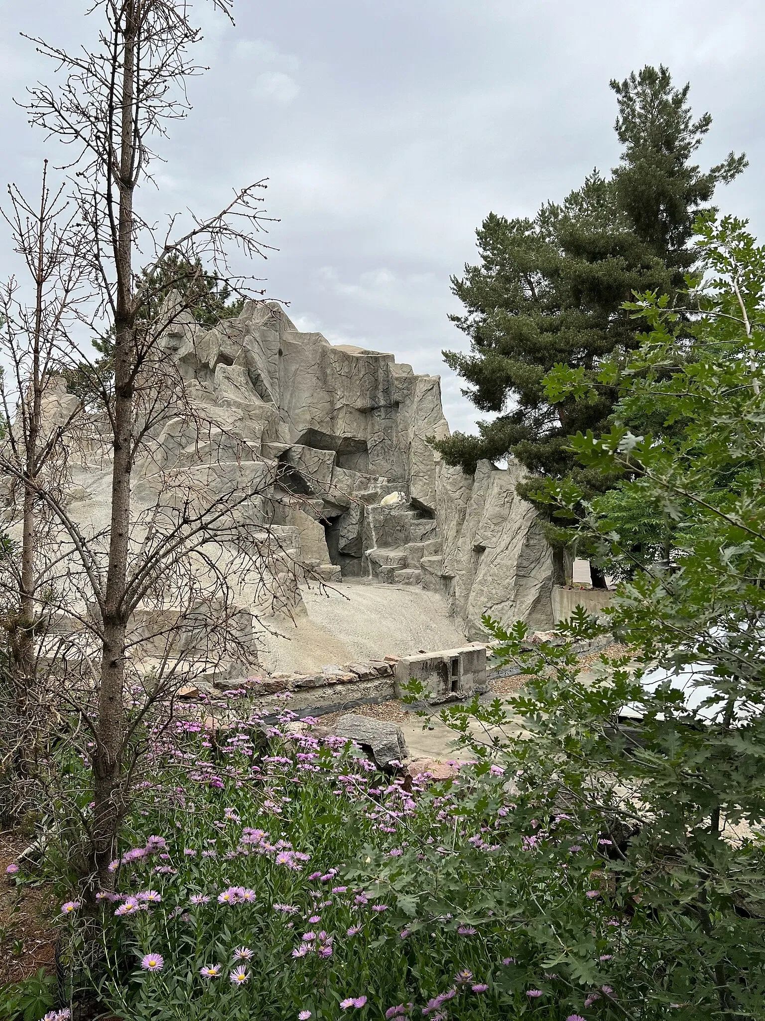 Denver Zoo