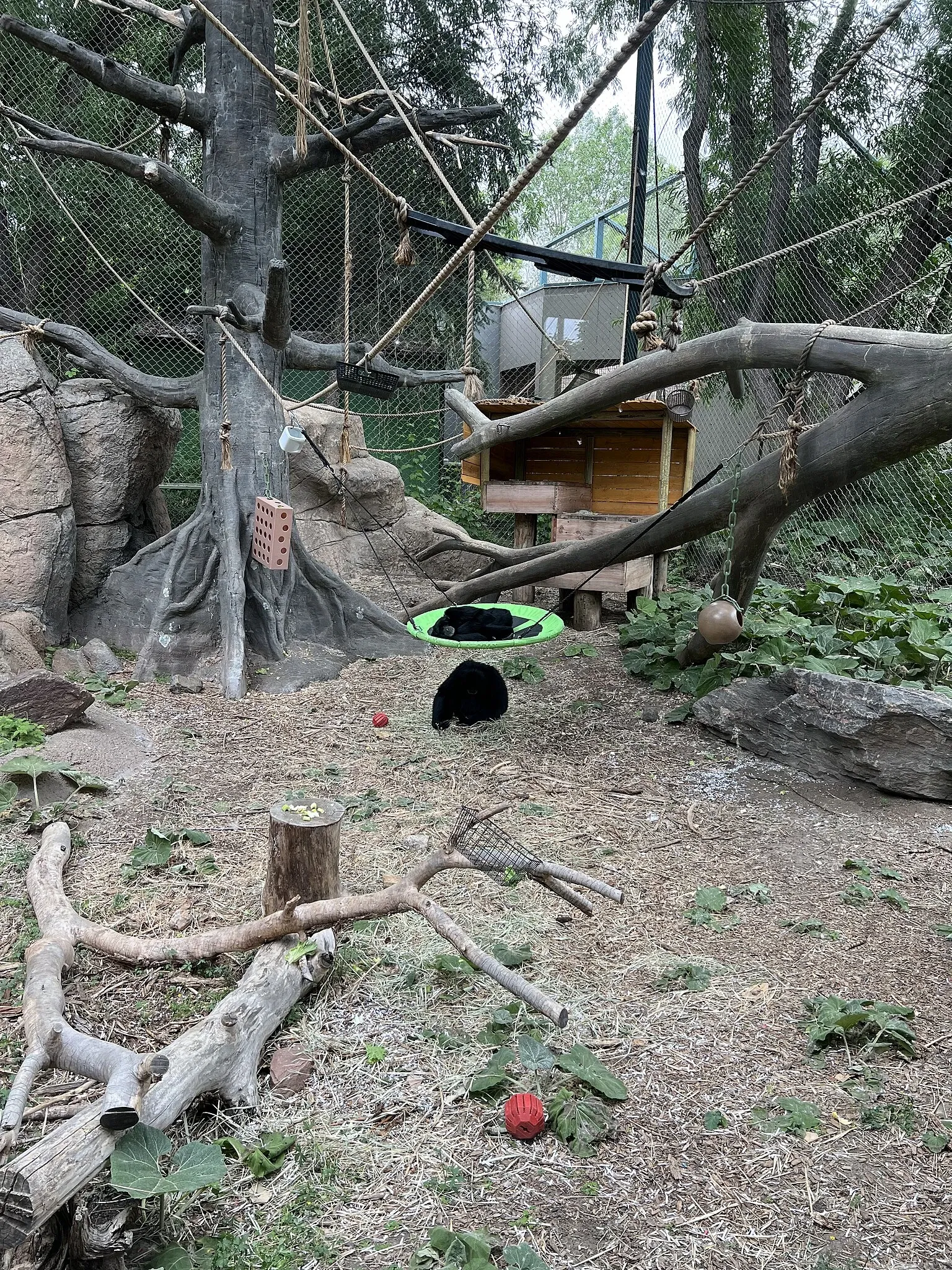 Denver Zoo