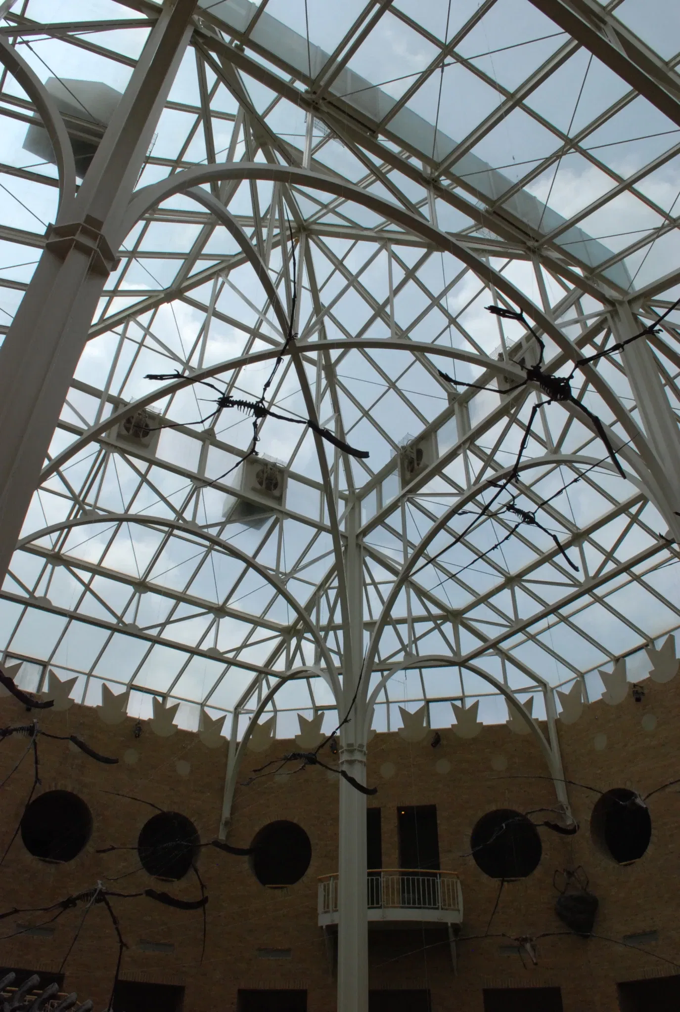 Fernbank Museum of Natural History