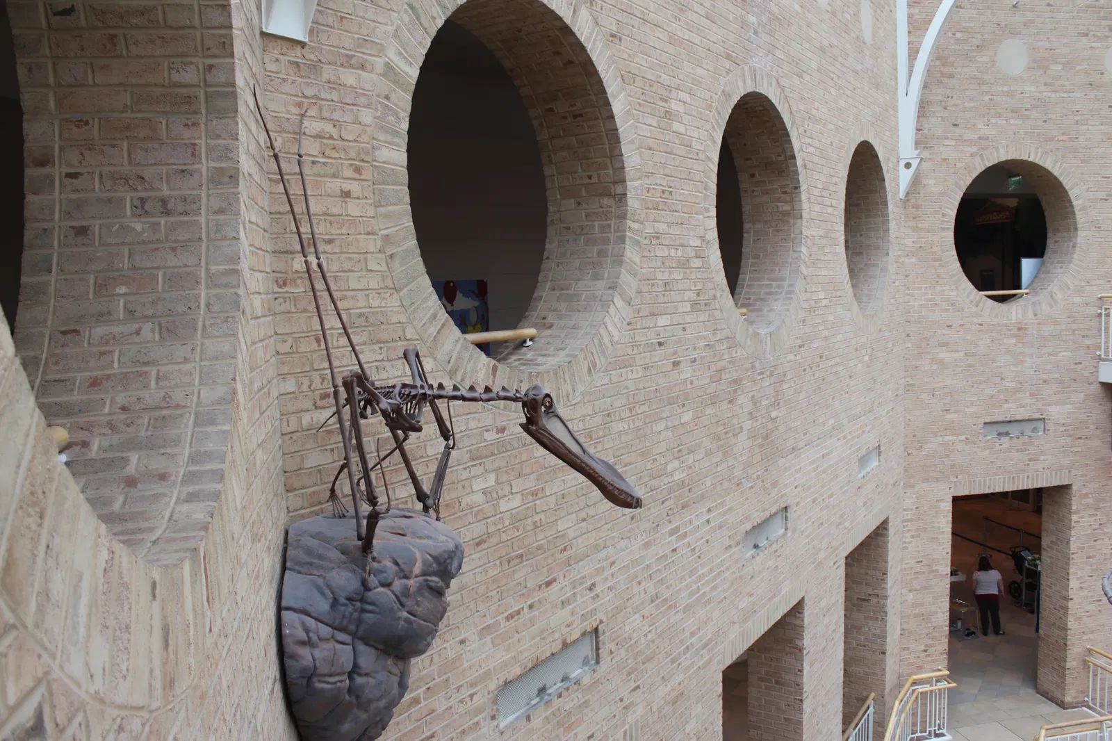 Fernbank Museum of Natural History