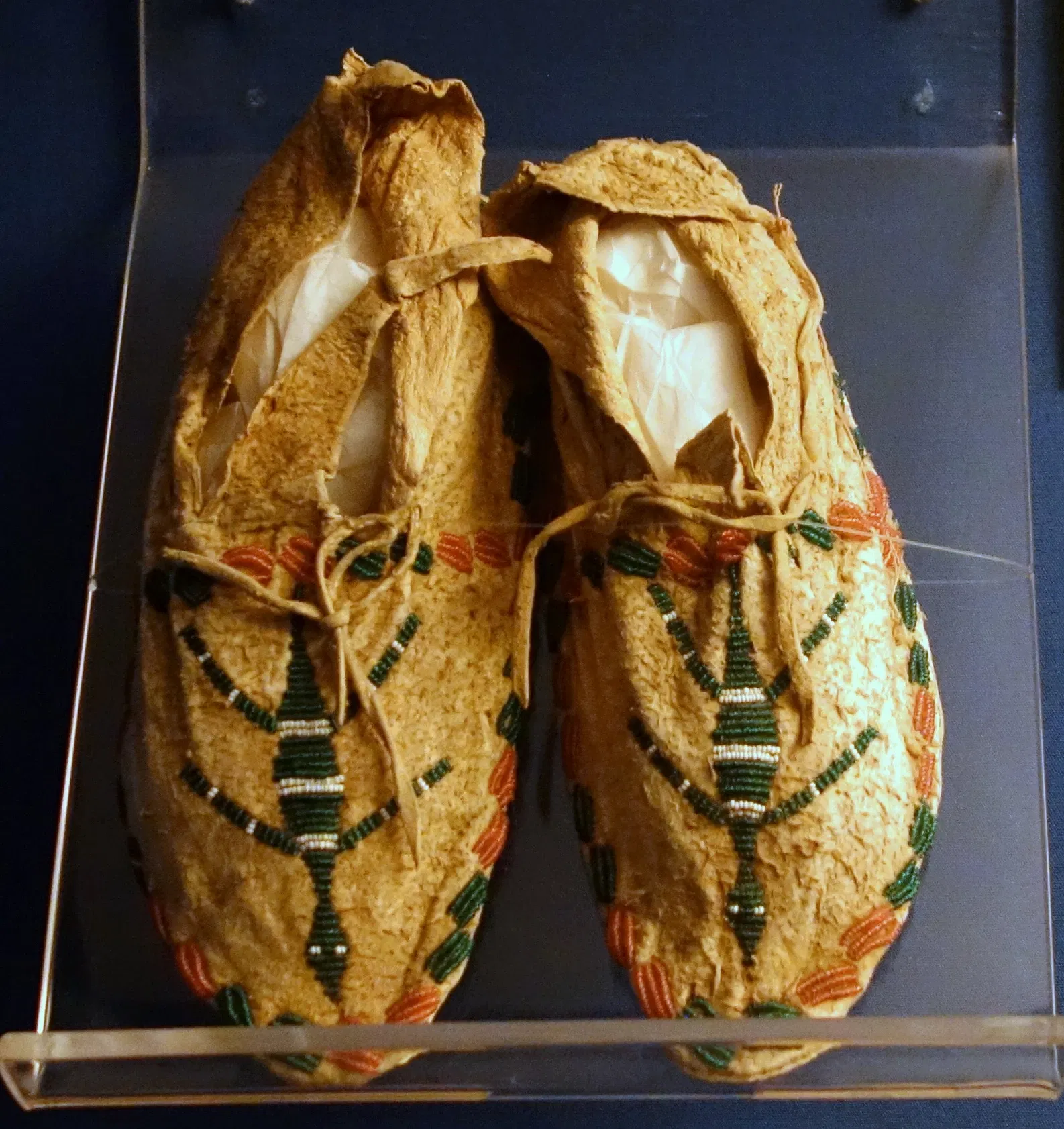 Fernbank Museum of Natural History