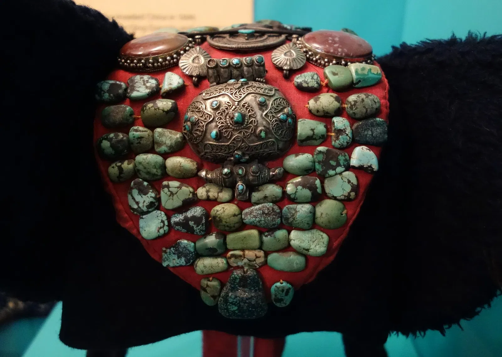 Fernbank Museum of Natural History