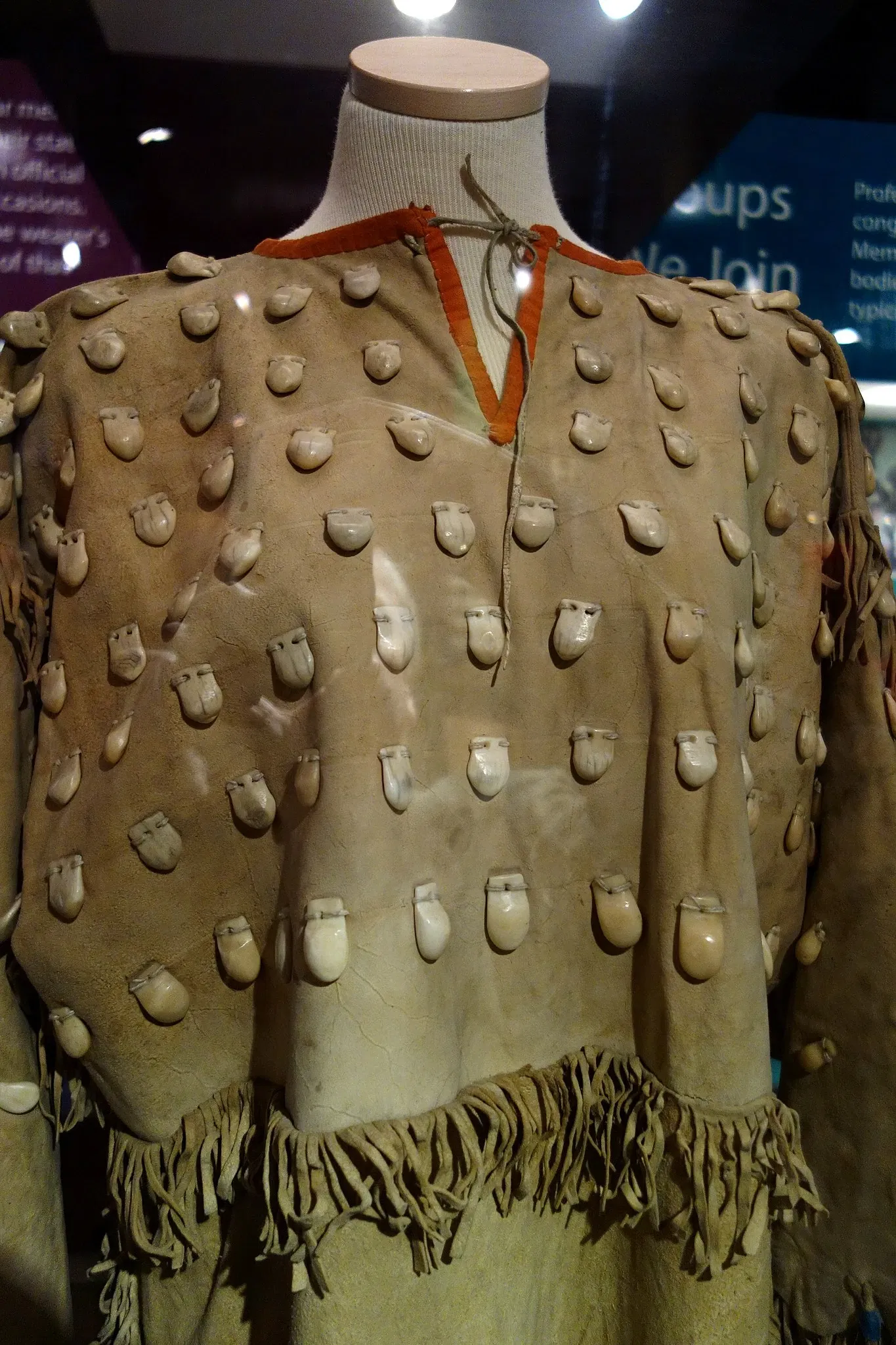 Fernbank Museum of Natural History