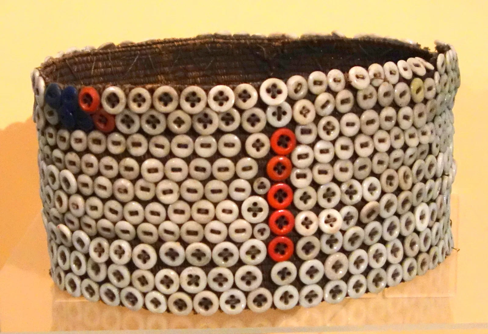 Fernbank Museum of Natural History