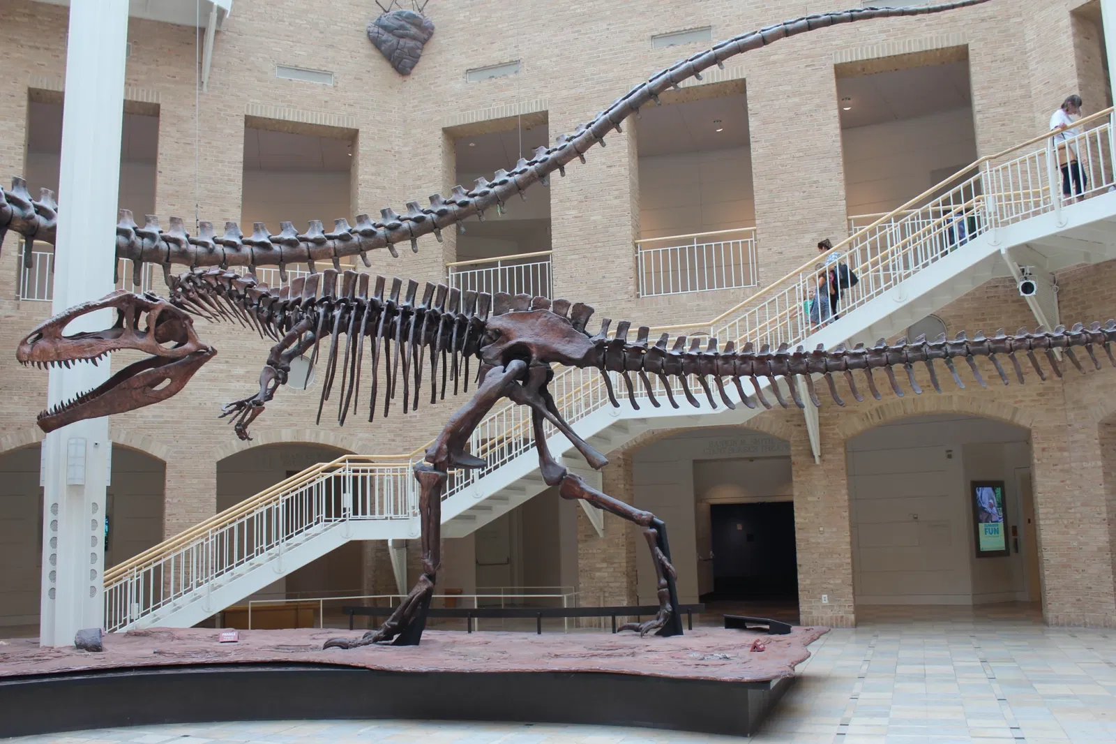 Fernbank Museum of Natural History