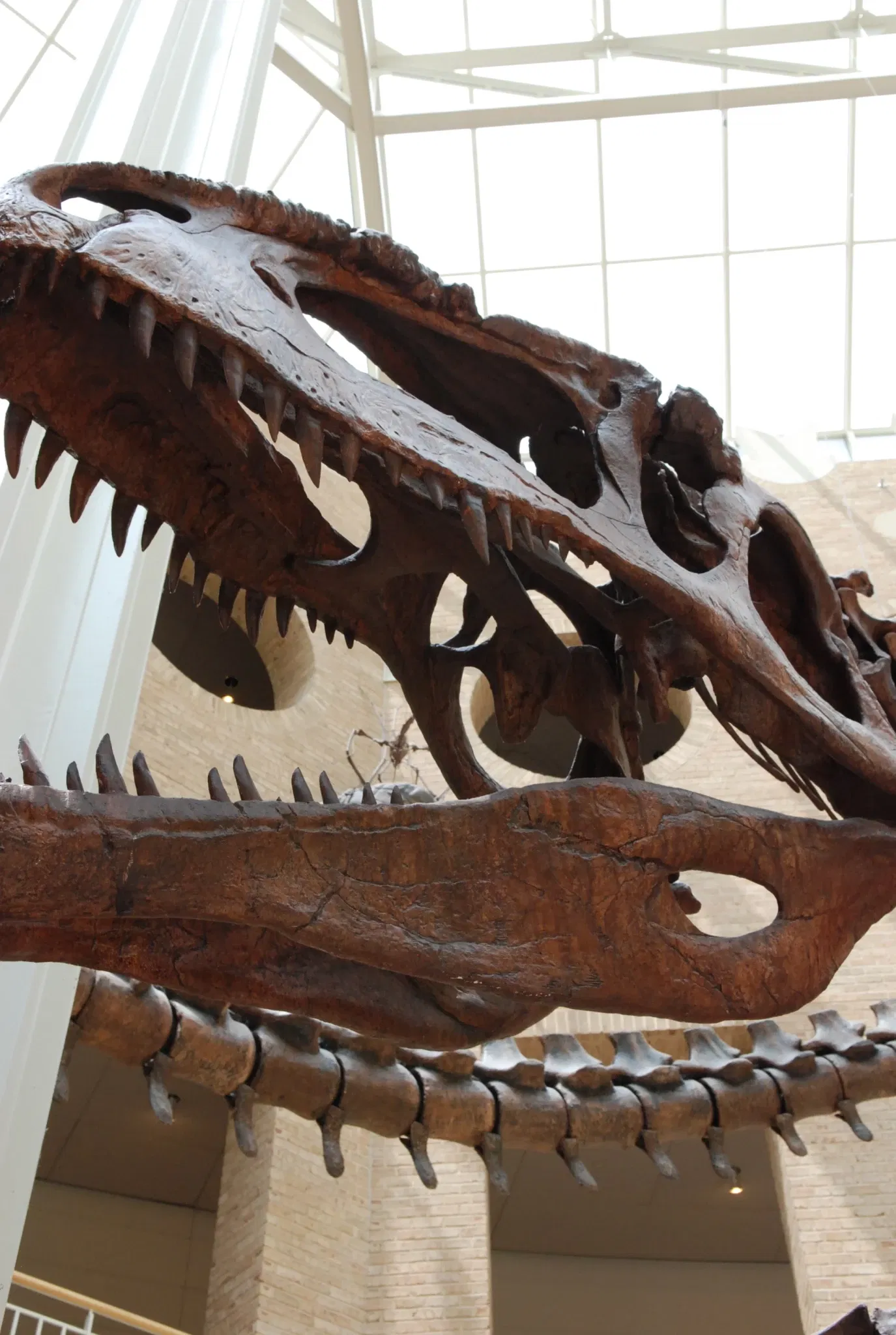 Fernbank Museum of Natural History