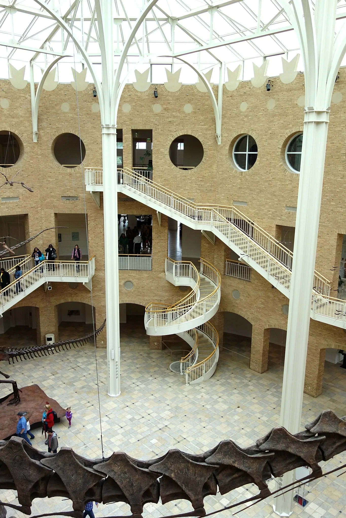 Fernbank Museum of Natural History