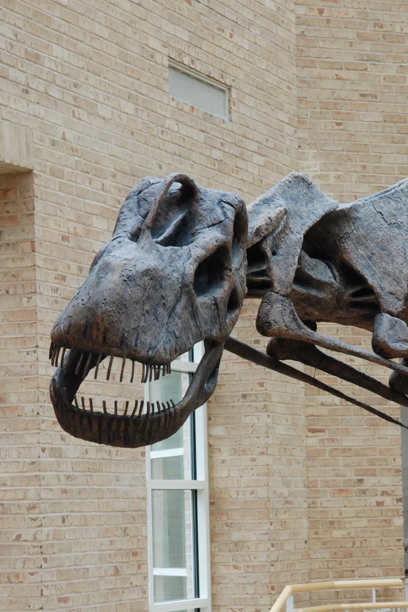Fernbank Museum of Natural History