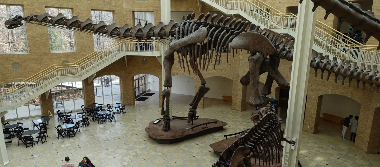 Fernbank Museum of Natural History