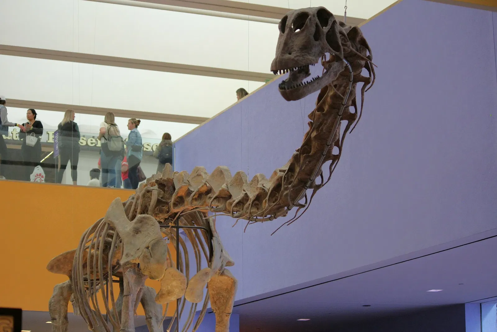 Musée des sciences et de l'histoire de Fort Worth