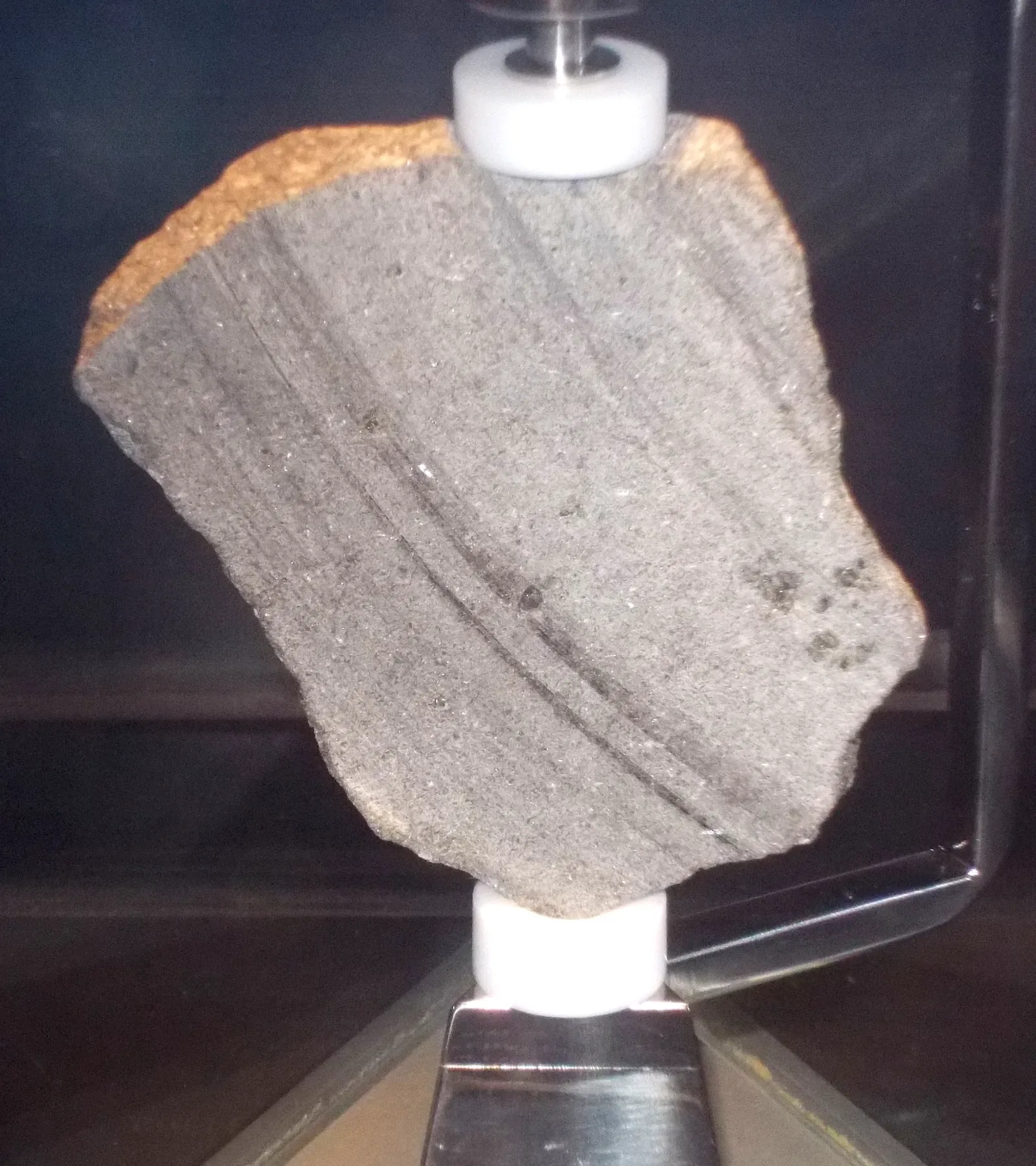 Houston Museum of Natural Science