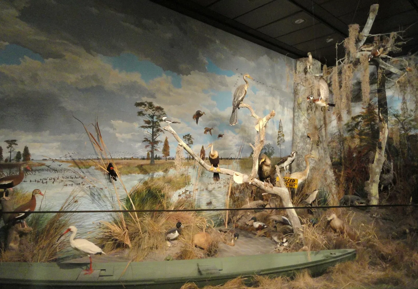 Houston Museum of Natural Science