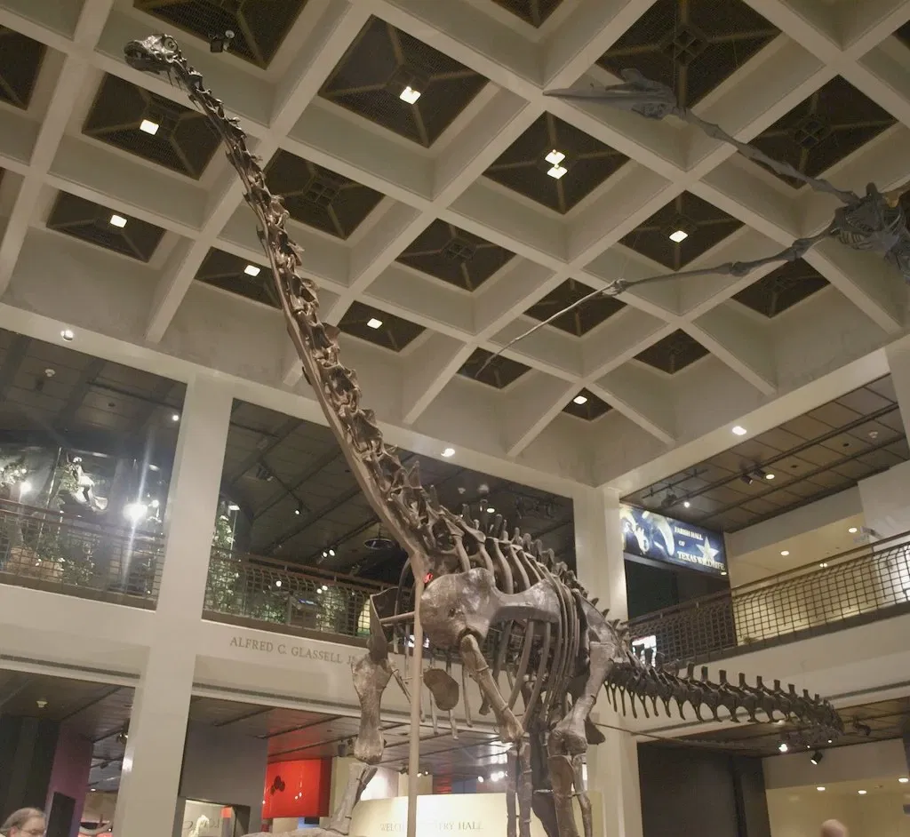 Houston Museum of Natural Science