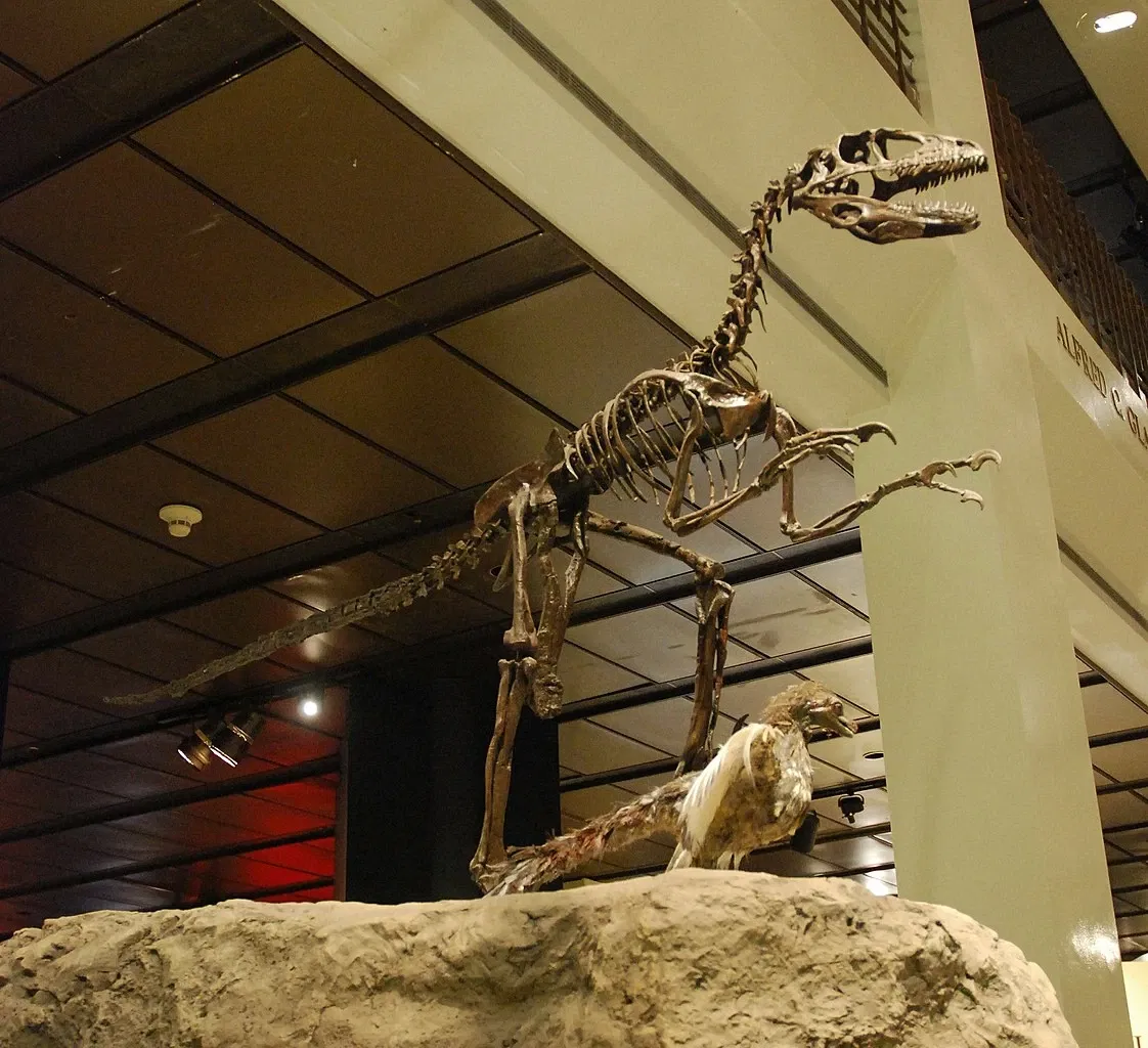 Houston Museum of Natural Science