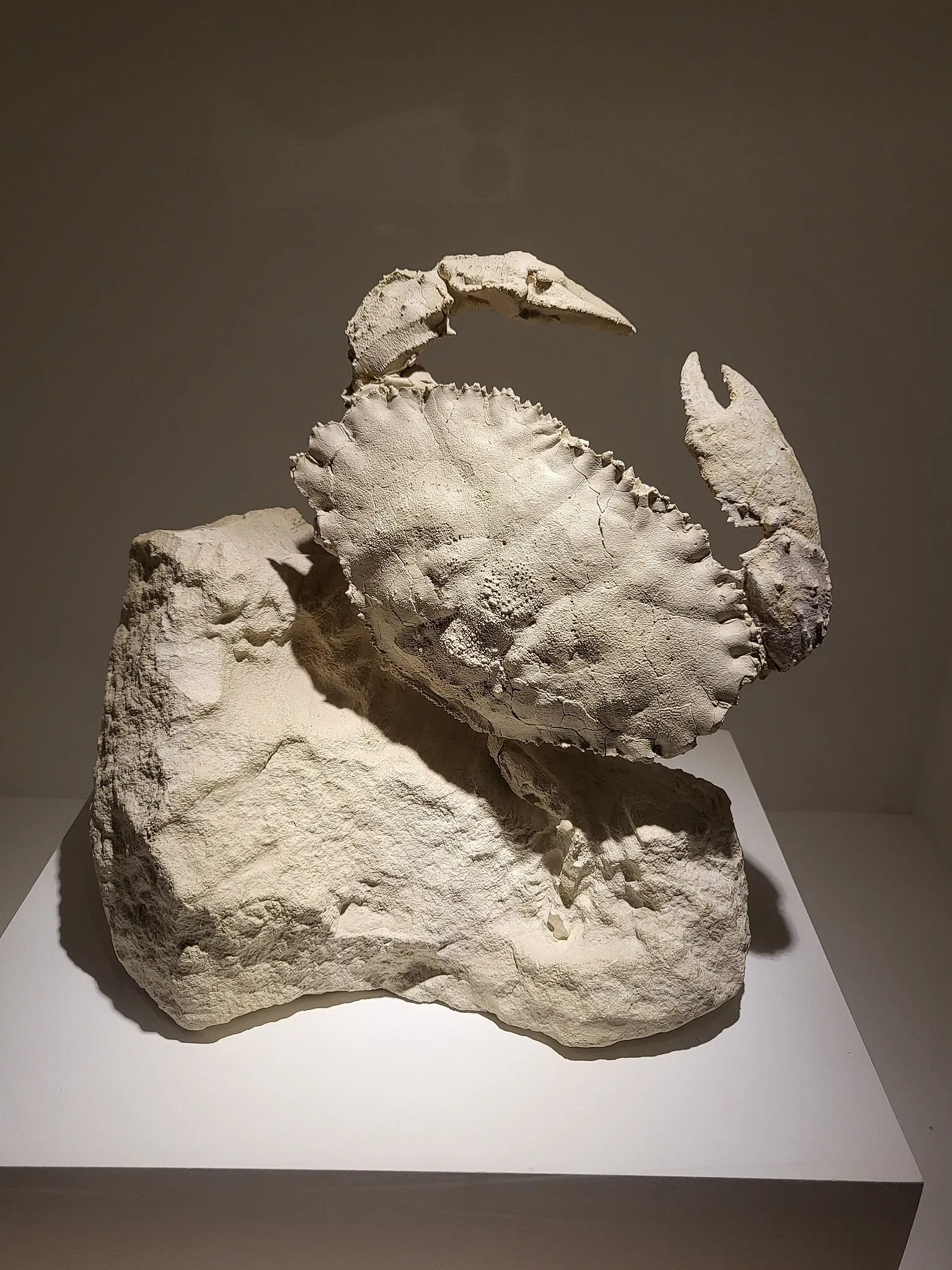 Houston Museum of Natural Science