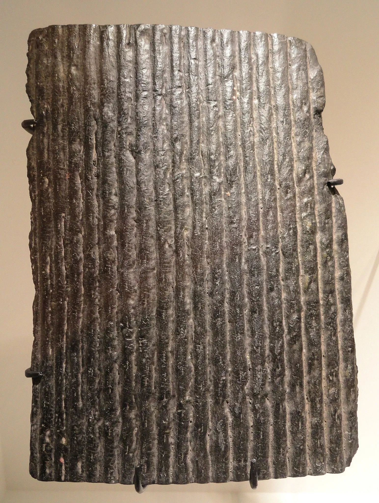 Houston Museum of Natural Science