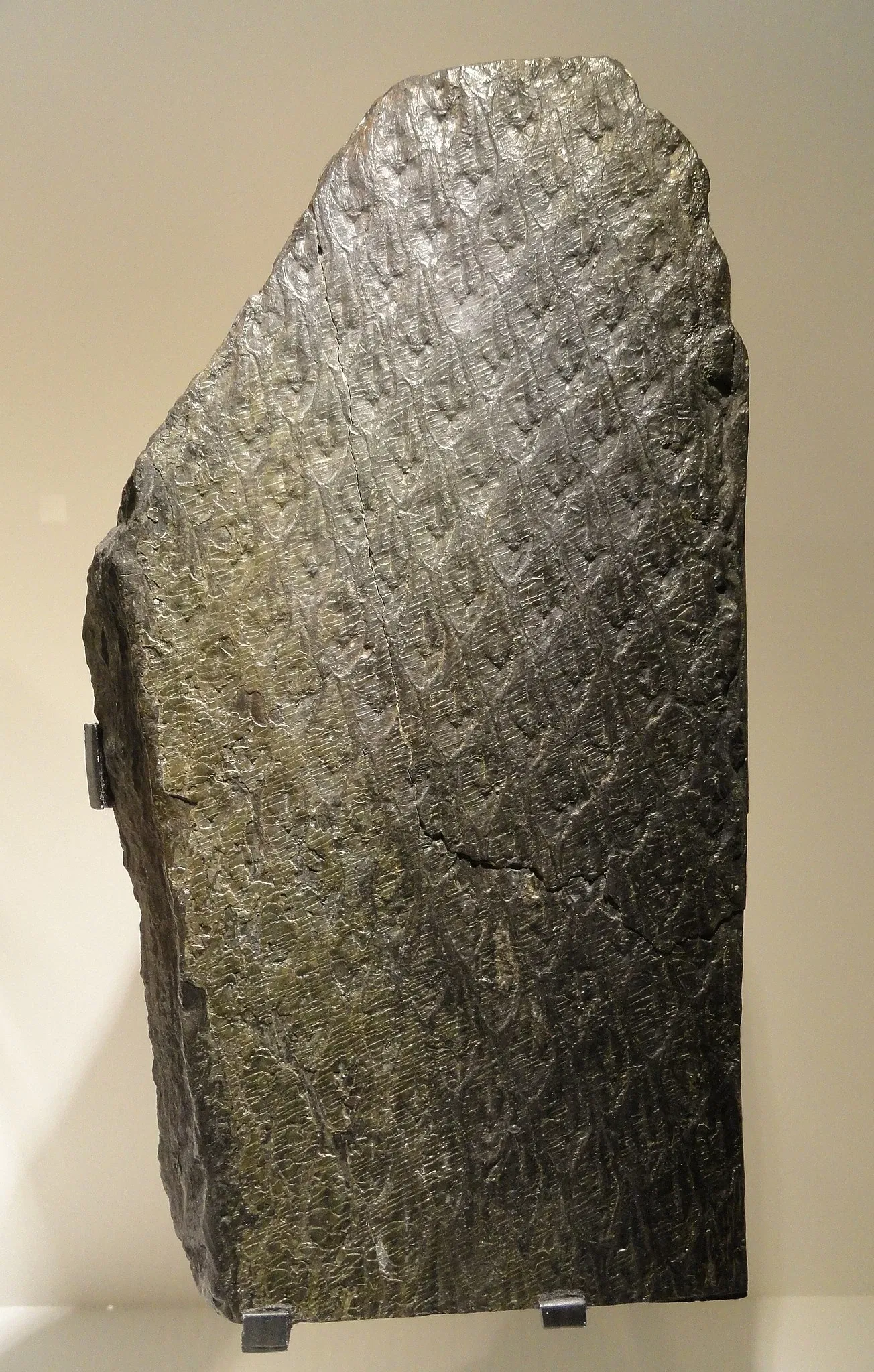 Houston Museum of Natural Science