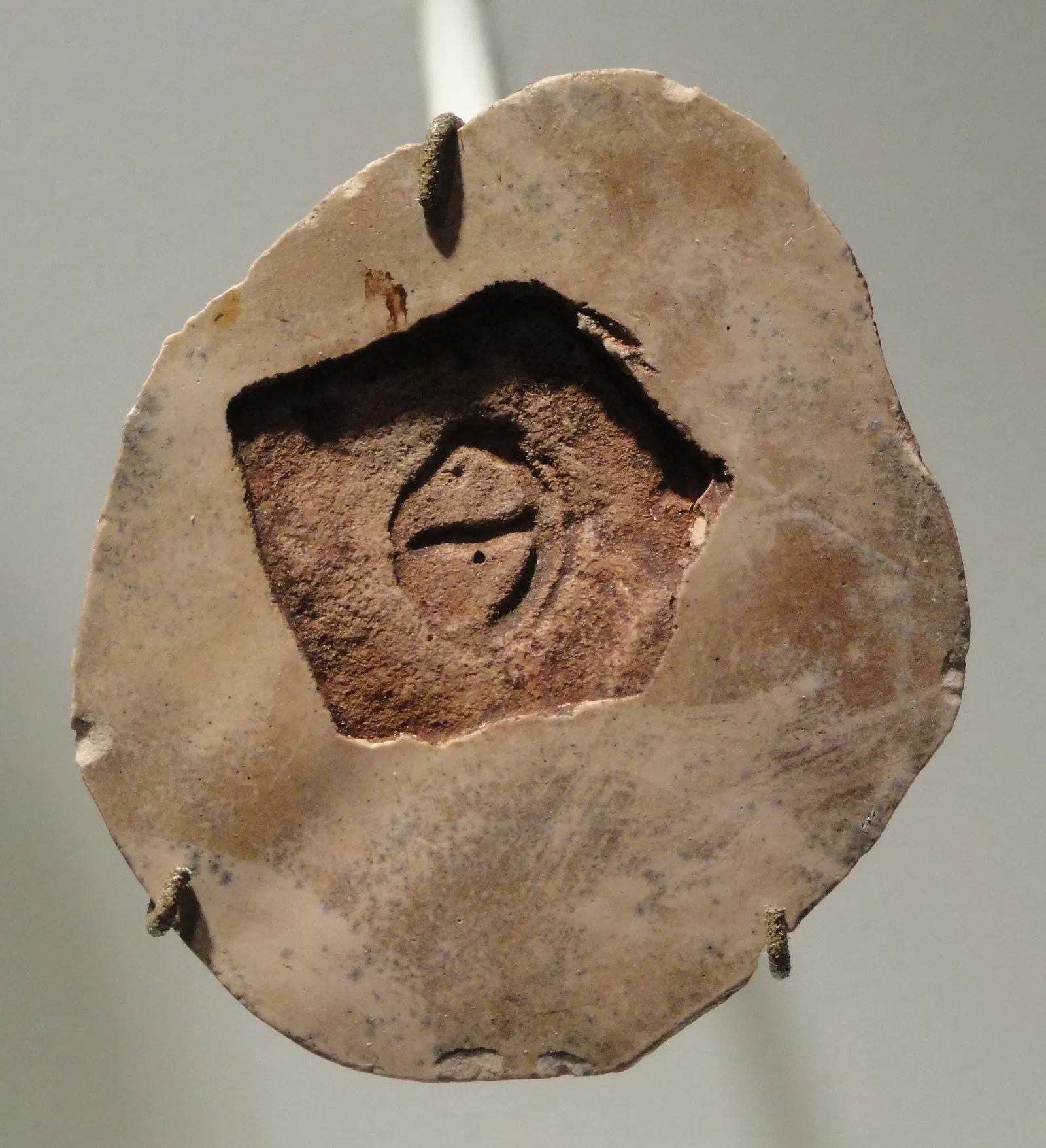 Houston Museum of Natural Science