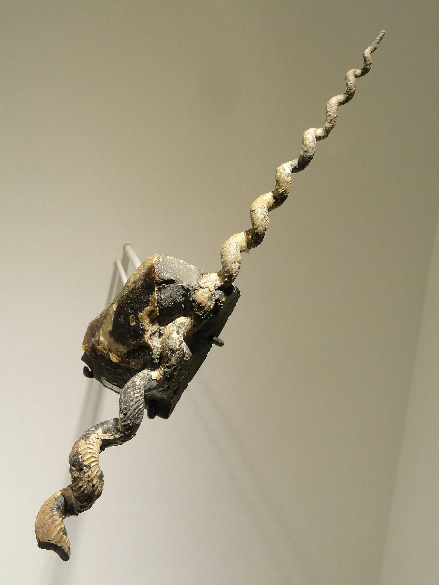 Houston Museum of Natural Science