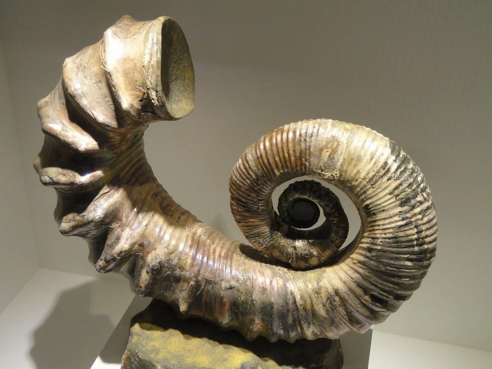 Houston Museum of Natural Science