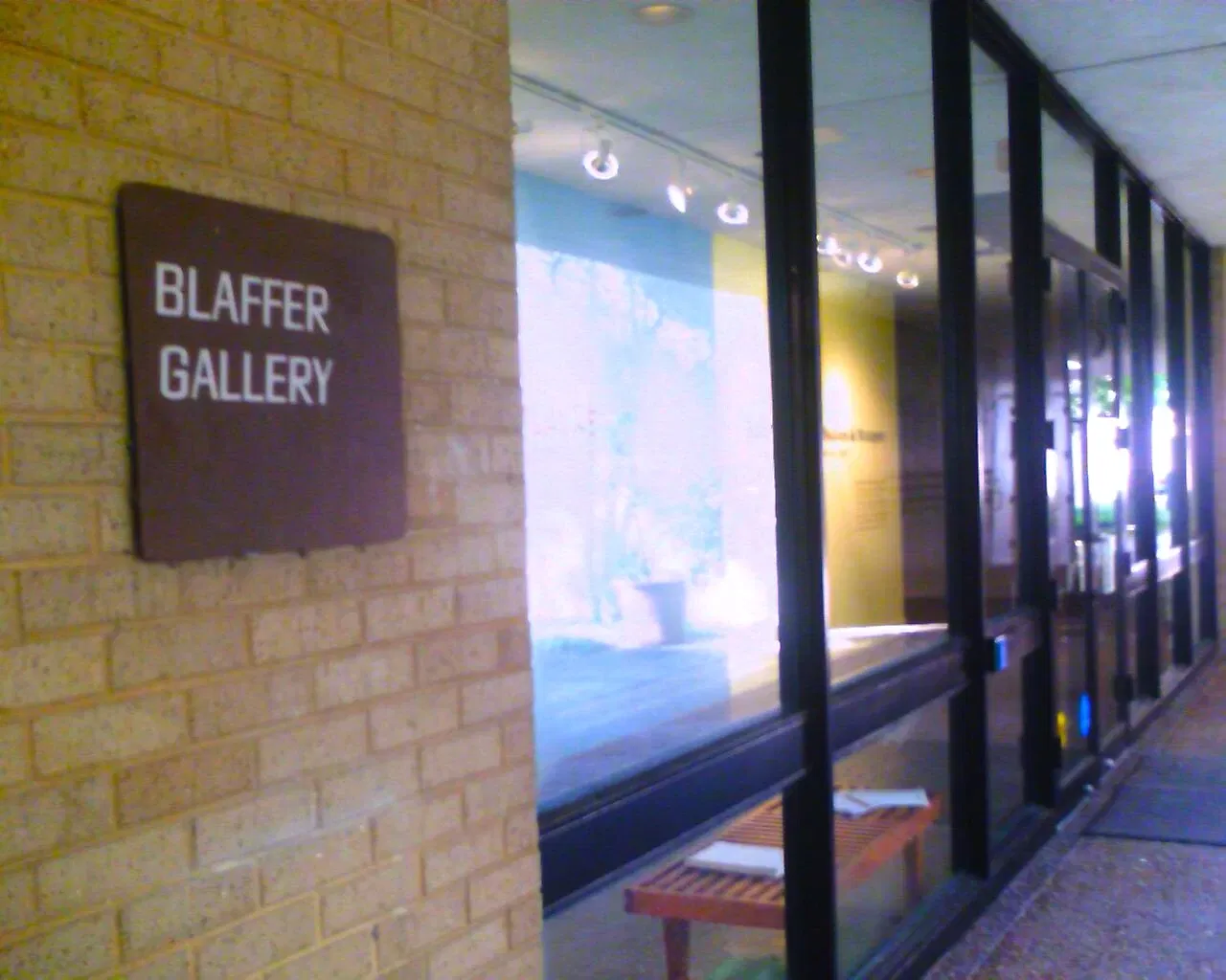 Blaffer Art Museum