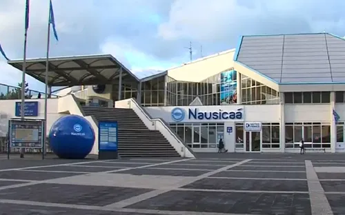 Nausicaá