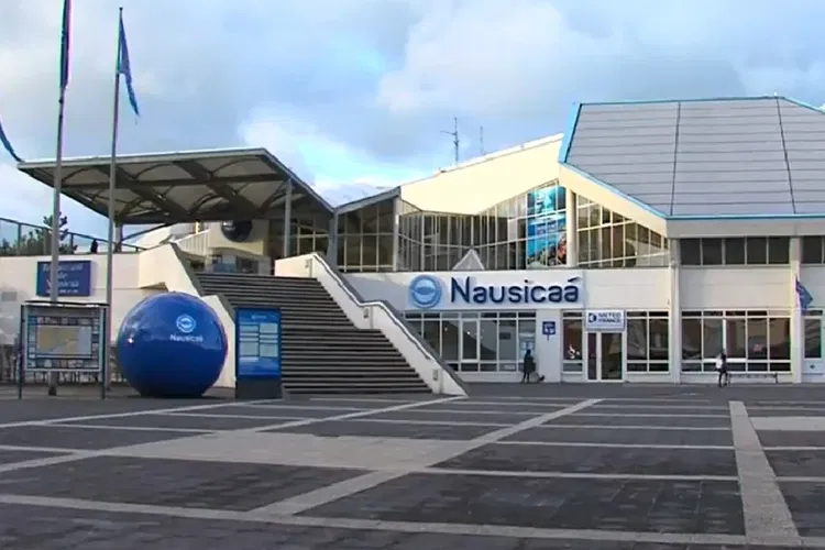 Nausicaá