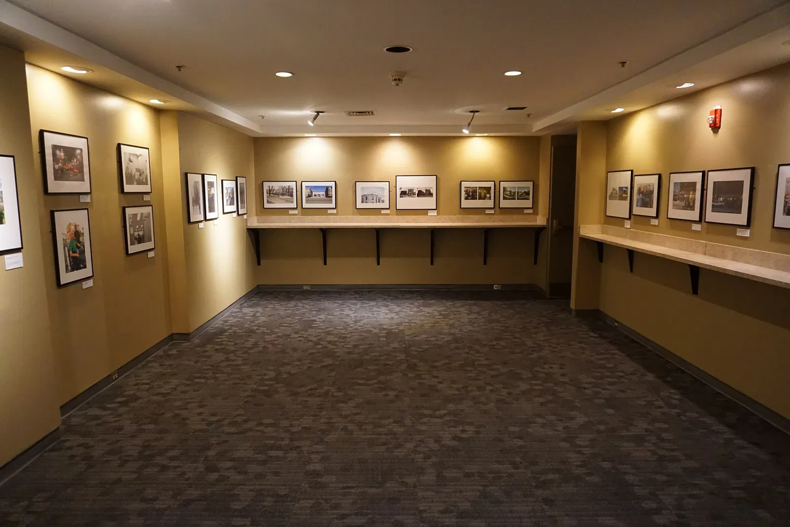 Detroit Historical Museum