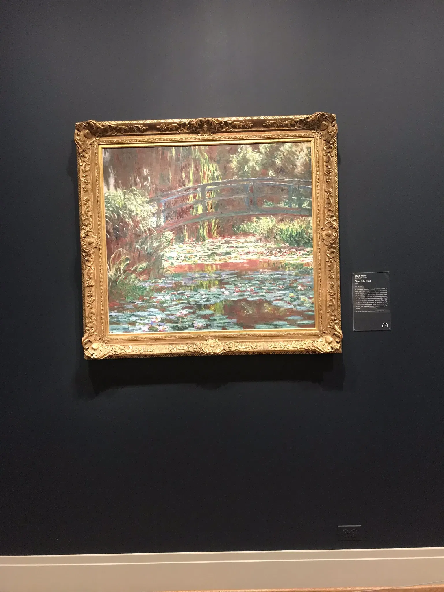 The Art Institute of Chicago