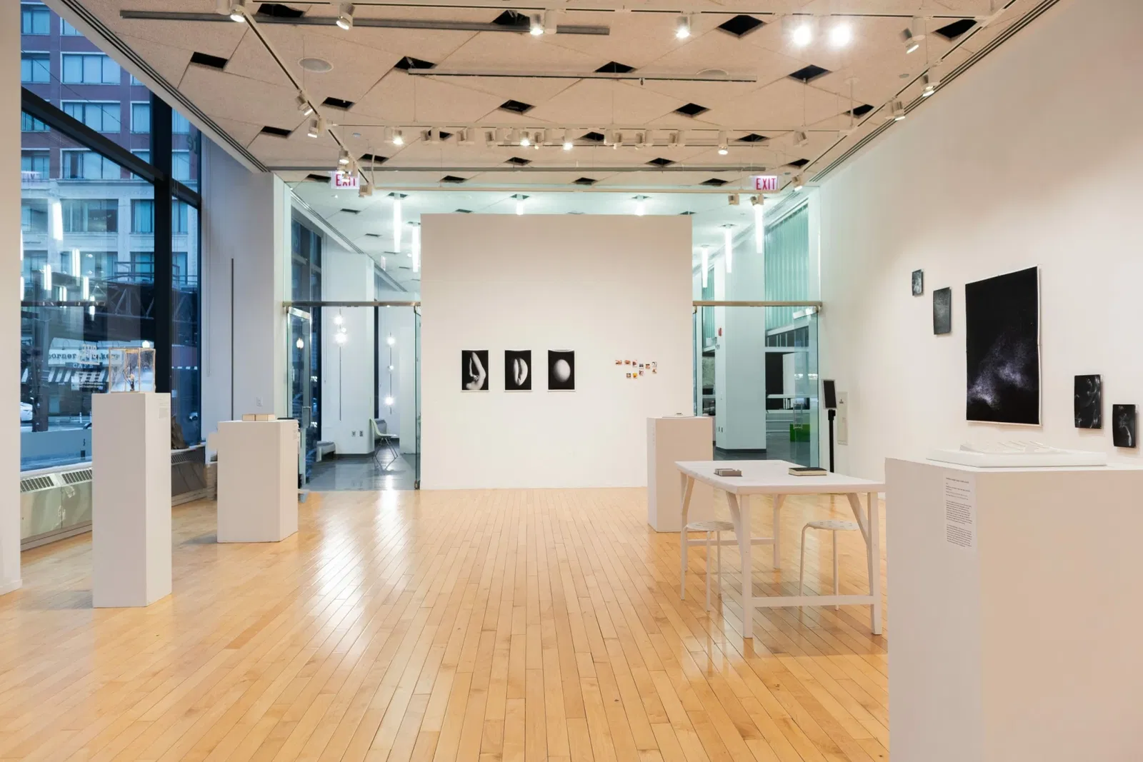 The Art Institute of Chicago