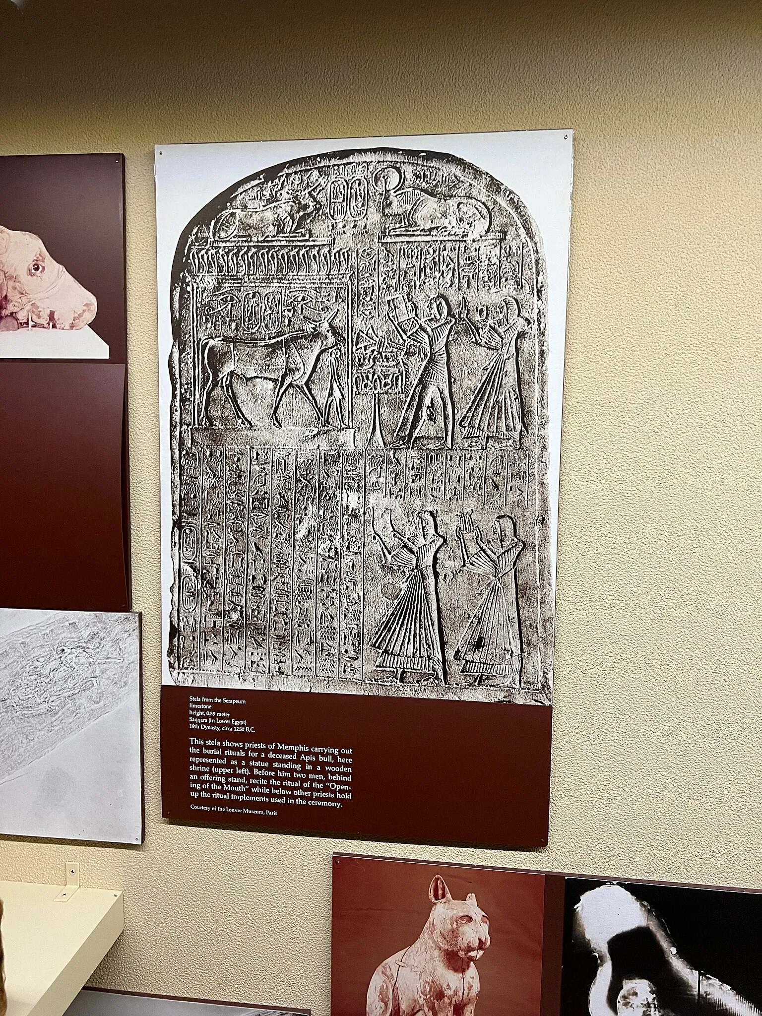 University of Pennsylvania Museum of Archaeology and Anthropology