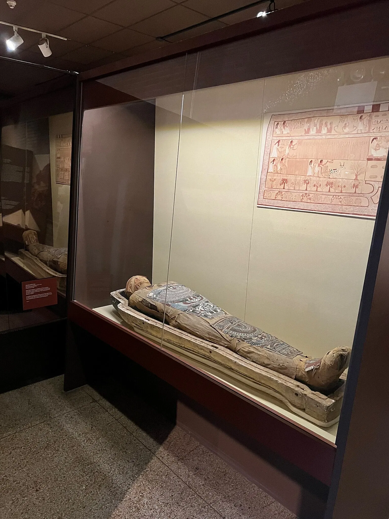Museo di archeologia e antropologia dell'Università della Pennsylvania