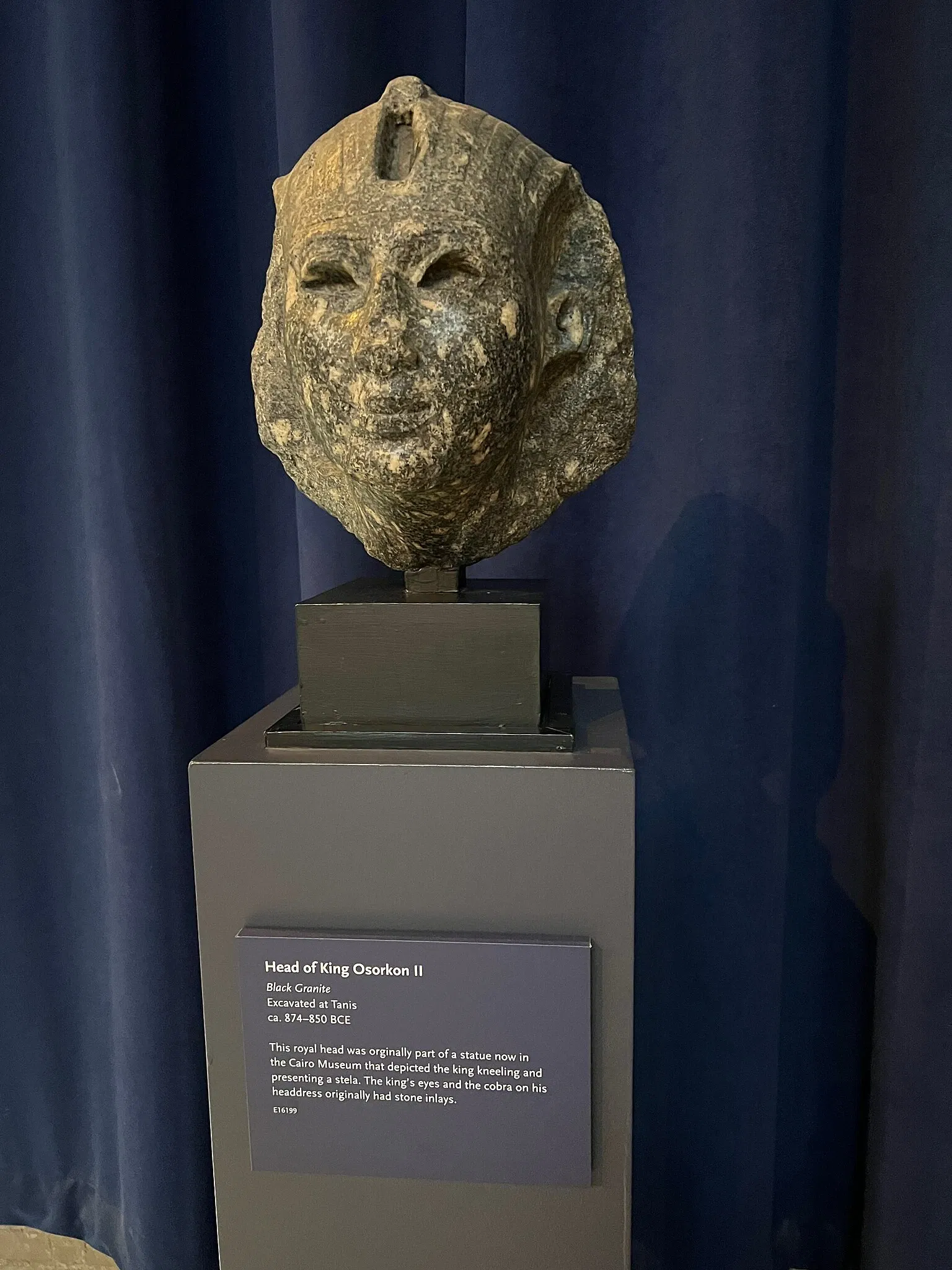 University of Pennsylvania Museum of Archaeology and Anthropology