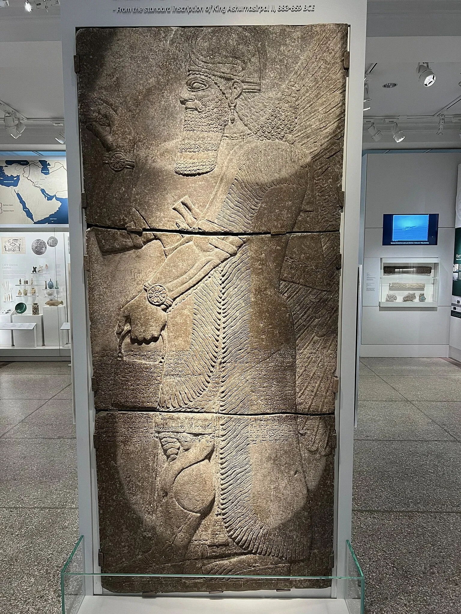 University of Pennsylvania Museum of Archaeology and Anthropology