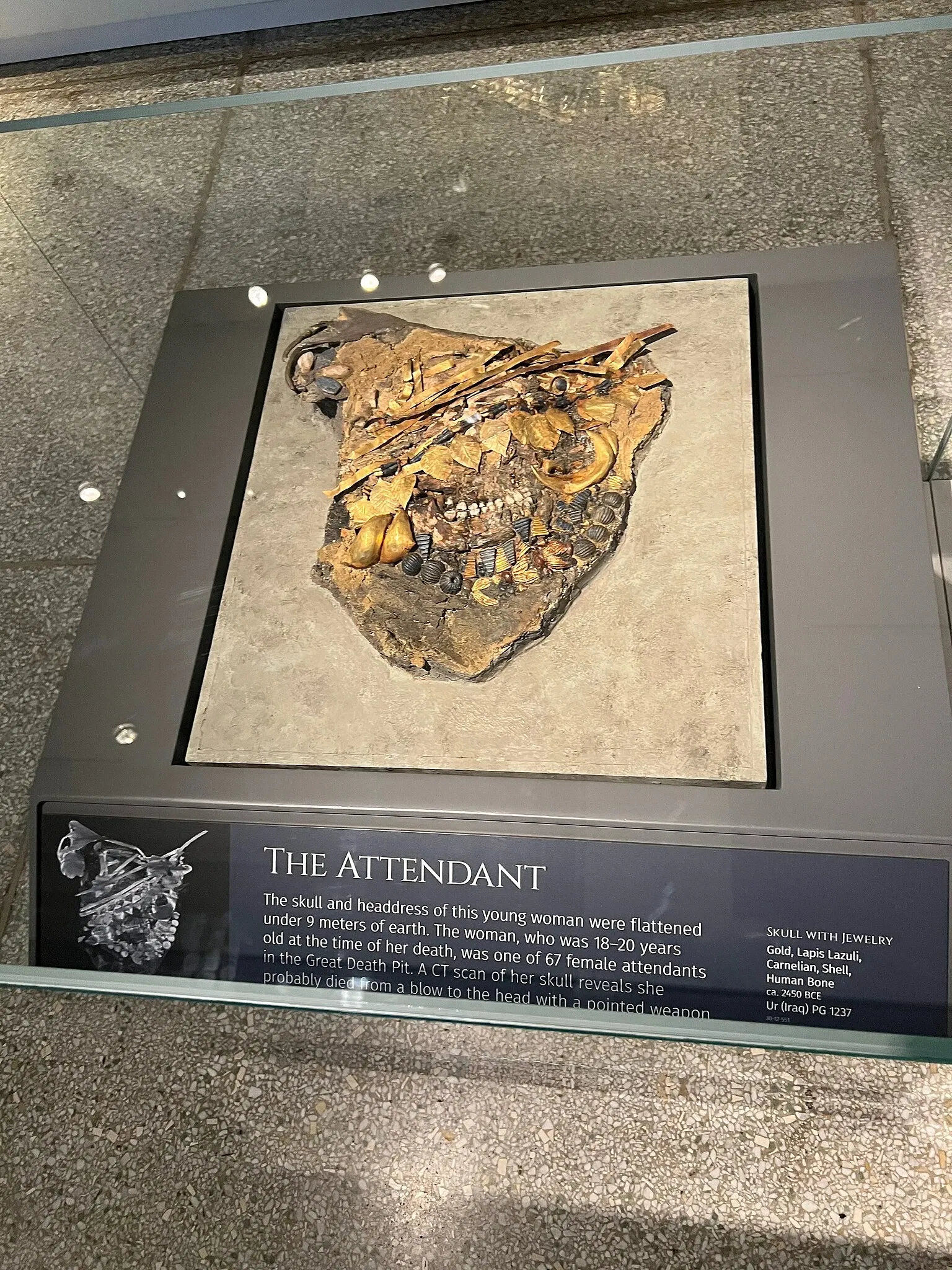 Museo di archeologia e antropologia dell'Università della Pennsylvania