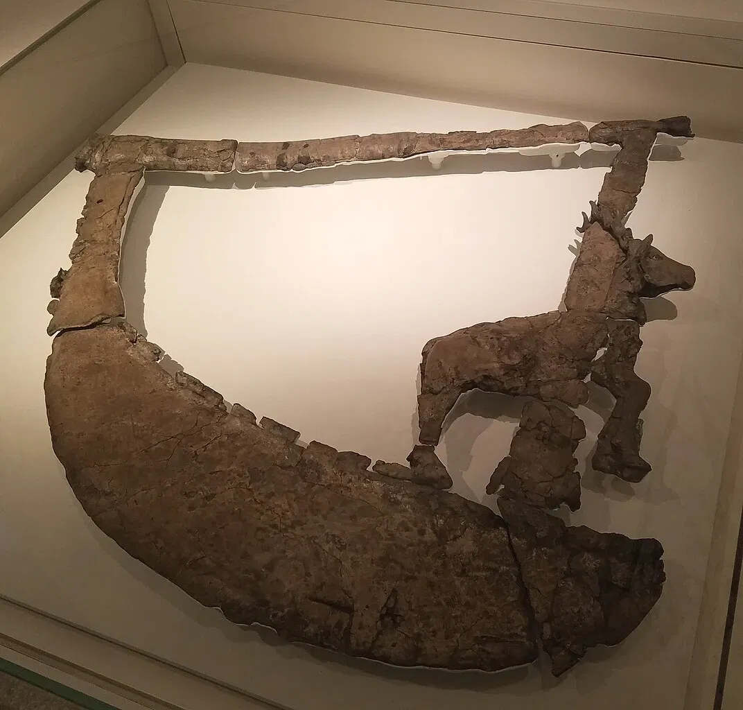 University of Pennsylvania Museum of Archaeology and Anthropology