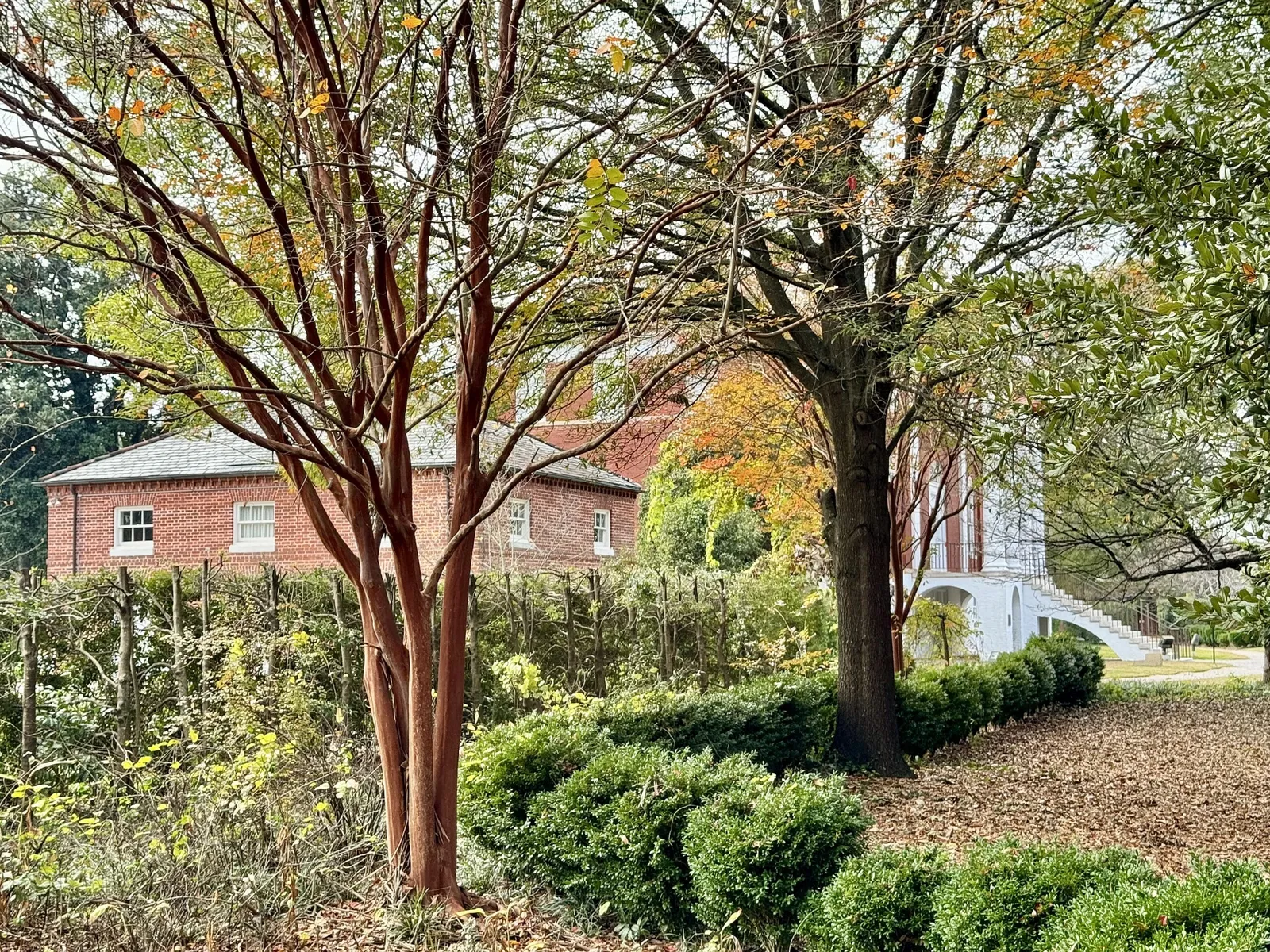 Robert Mills House and Gardens