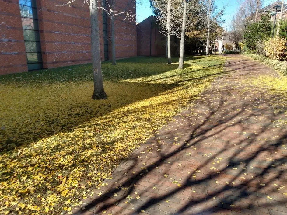 Peabody Essex Museum