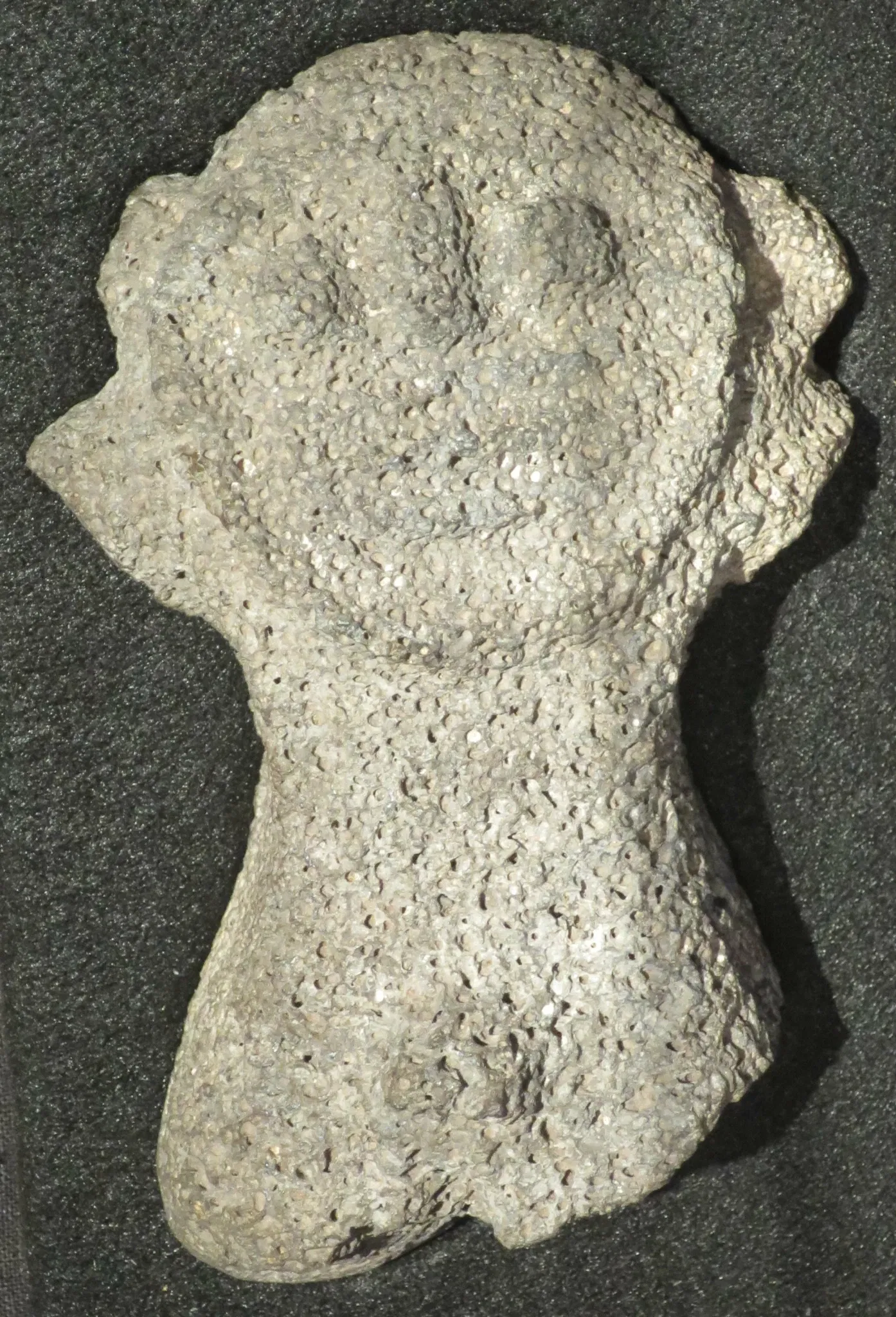 Peabody Essex Museum