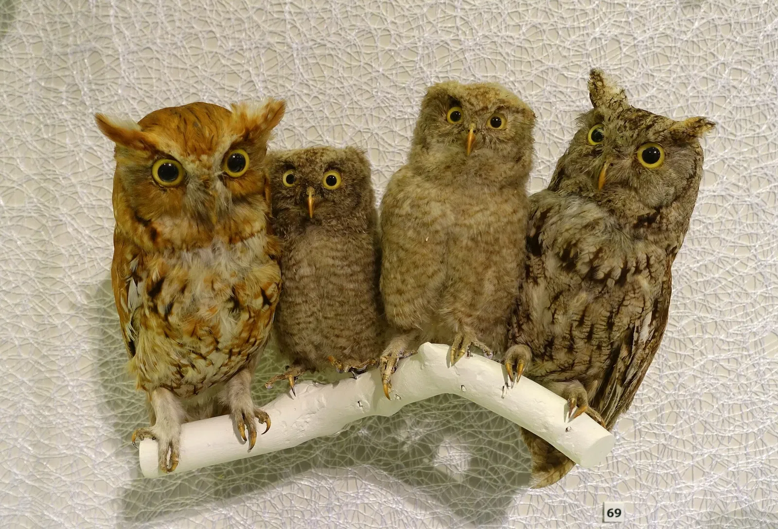 Peabody Essex Museum