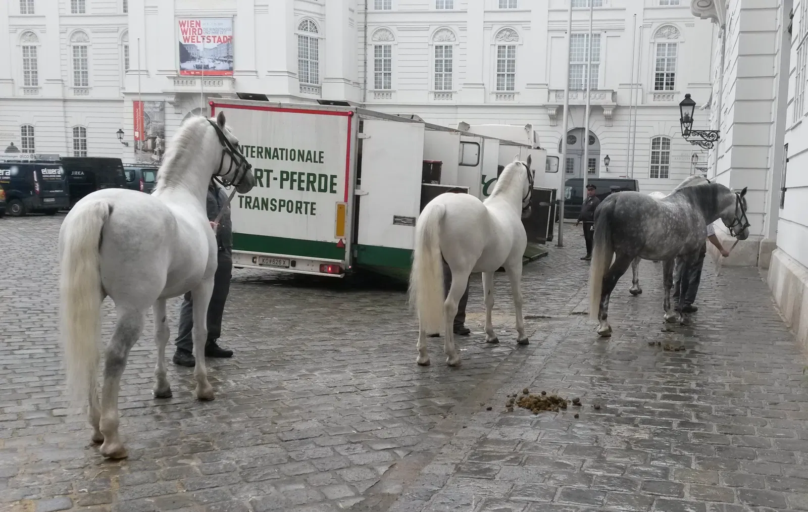 École espagnole d'équitation