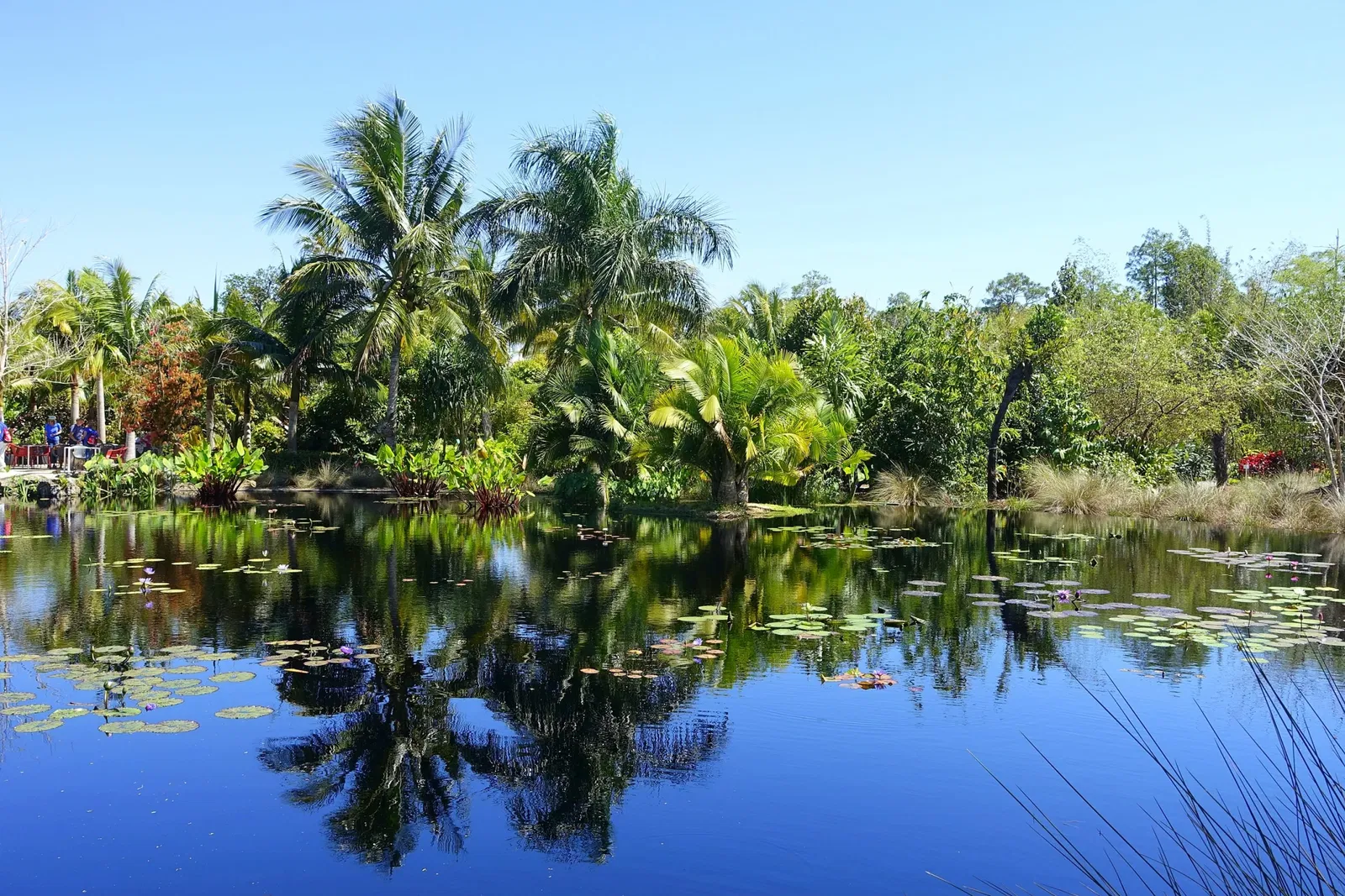 Naples Botanical Garden
