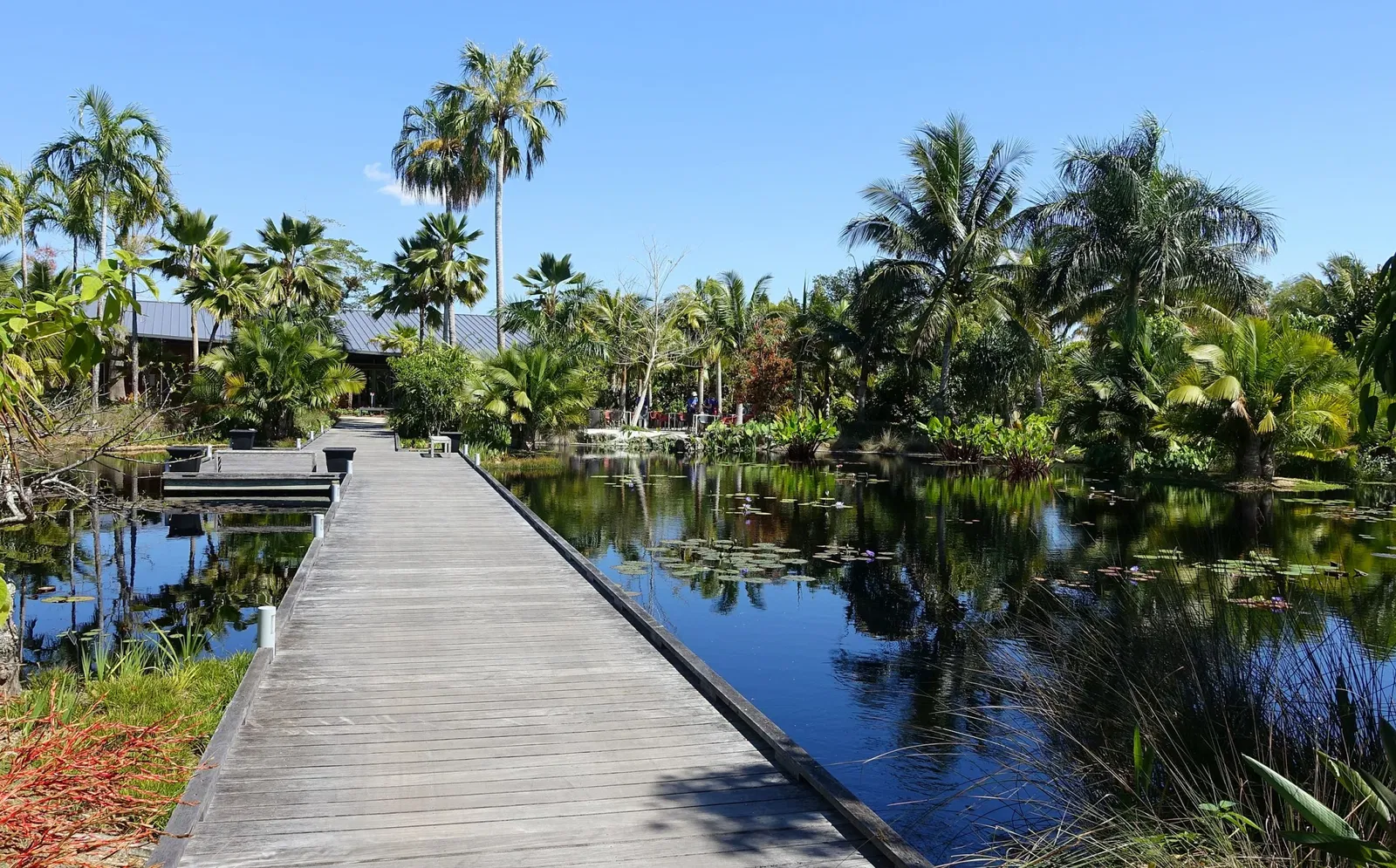 Naples Botanical Garden